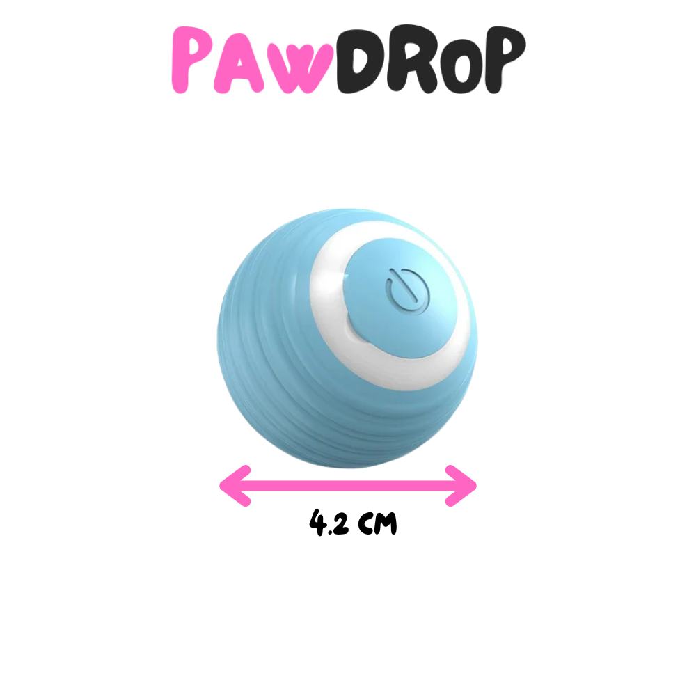 Small & Smart Interactive Ball Toy for Dogs | Buy Now at PawDrop