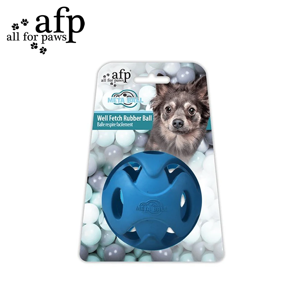 All For Paws Well Fetch Rubber Ball | Durable Chew Toy for Dogs