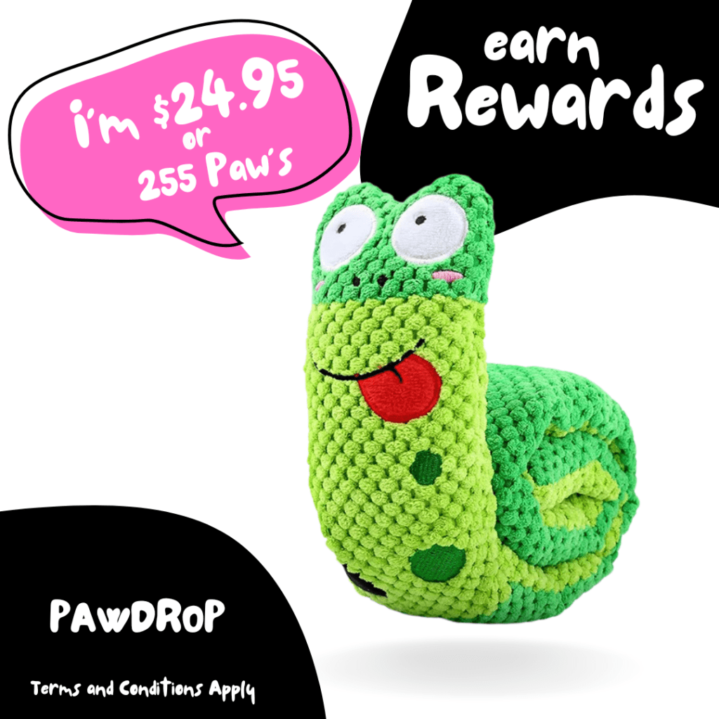 Every Day Rewards PAWDROP Club