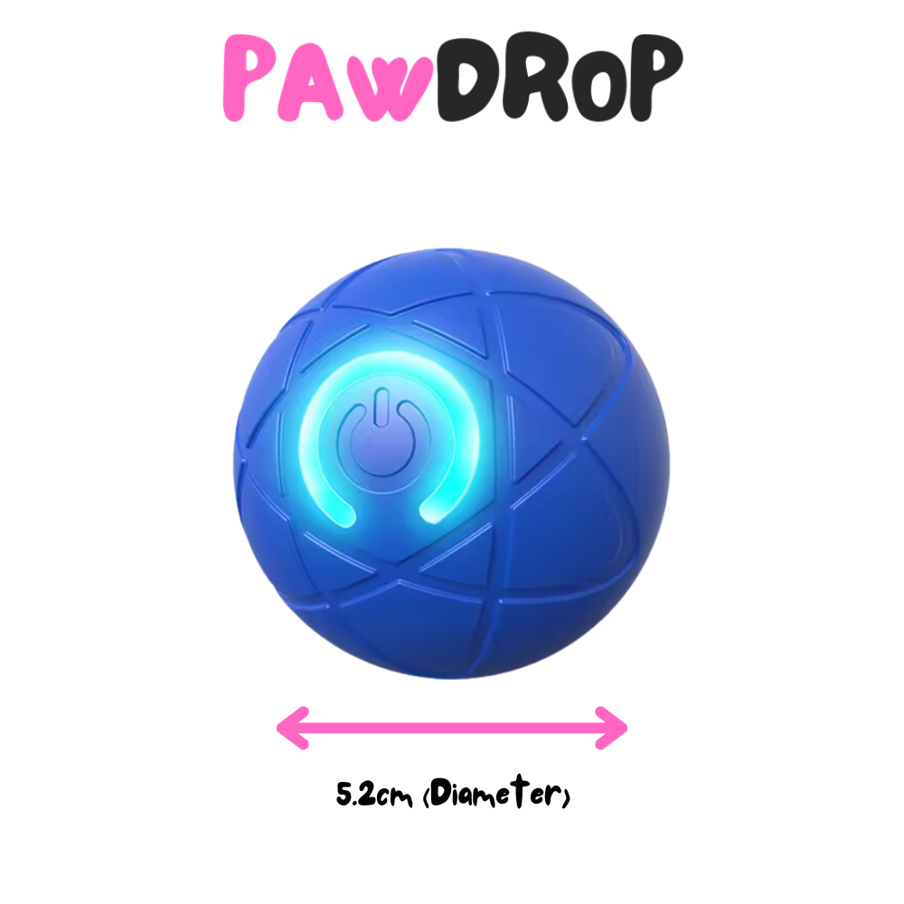 Rechargeable Dog Ball